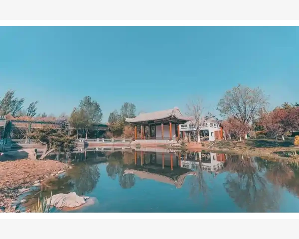 陈皮泡水：中医秘方，神奇的化痰止咳良方！