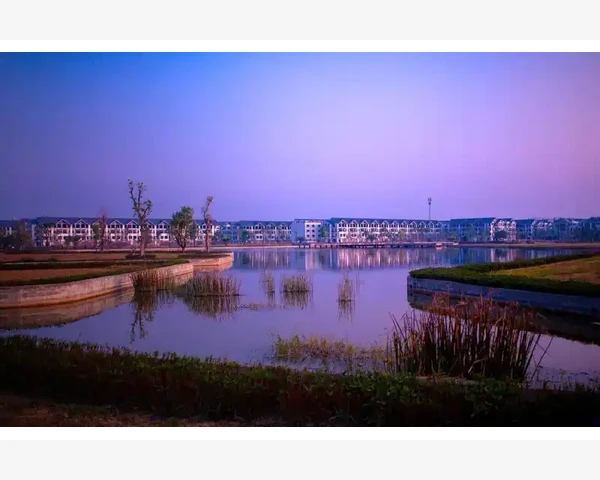 地中海贫血患者如何通过饮食改善状况？